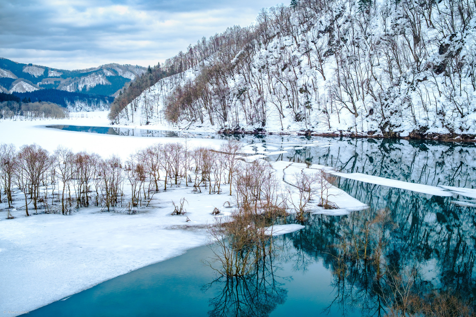 Nature Photography