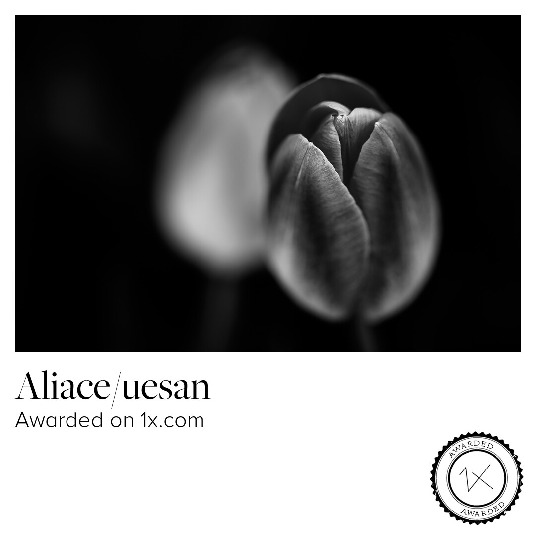 1x.com Photography