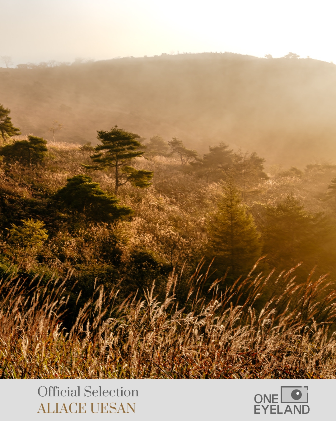 ONE EYELAND Photography