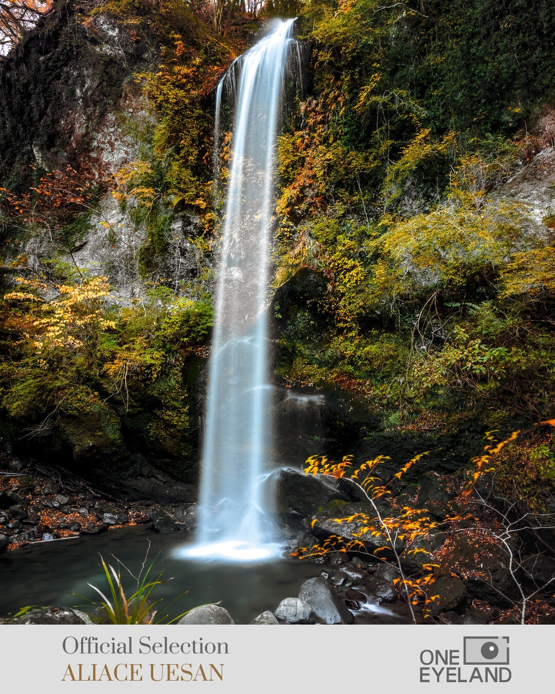 ONE EYELAND Photography